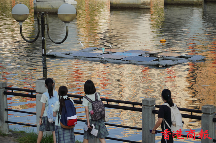 圖集 | 城門河設臨時浮式太陽能板 測試不佔地可再生能源