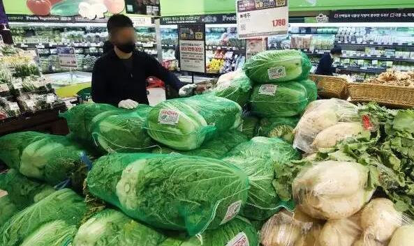 韓國白菜價格上漲 一棵價格約50港元
