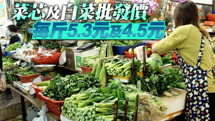 26日內地供港蔬菜2600公噸 鮮活食品供應充足穩定