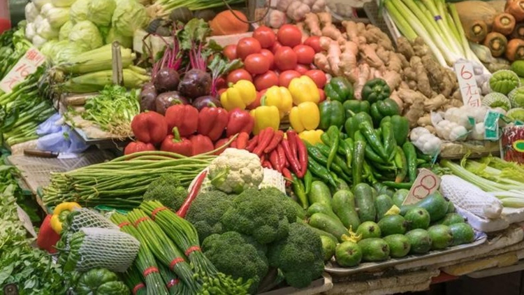 5日內地供港蔬菜供應正常 鮮活食品供應充足穩定