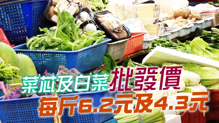 7日內地供港蔬菜2600公噸 鮮活食品供應充足穩定