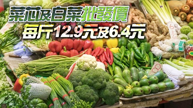 16日內地供港蔬菜2700公噸 鮮活食品供應充足穩定