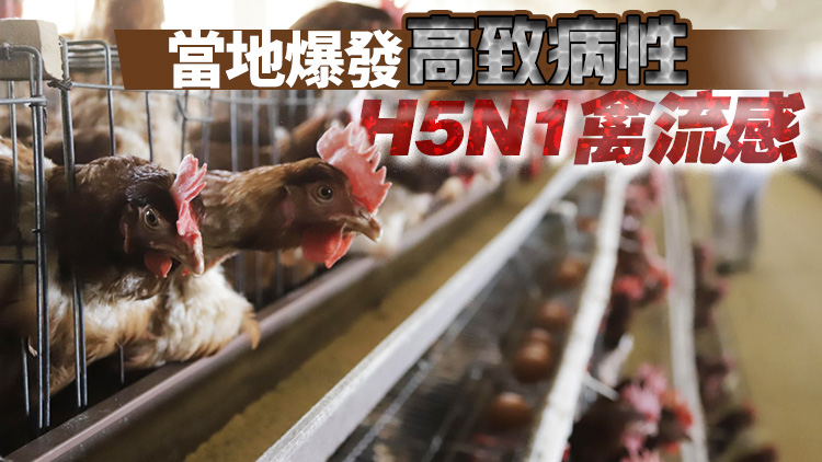 本港暫停進口加拿大和美國部分地區禽肉產品