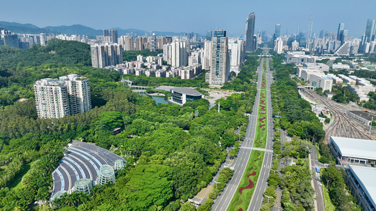 深圳市2022年度第四批居住用地掛牌出讓公告