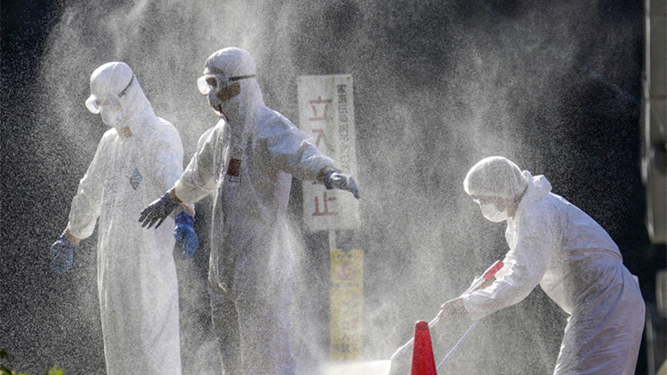 日本暴發禽流感將撲殺34萬隻雞