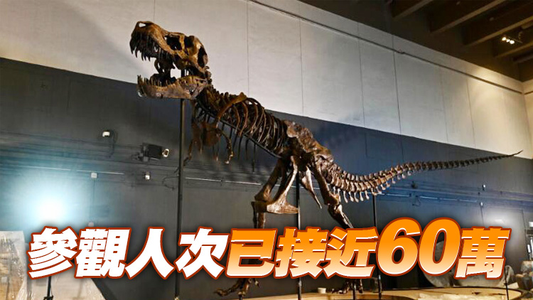 反應熱烈 科學館恐龍展延長至明年2月22日