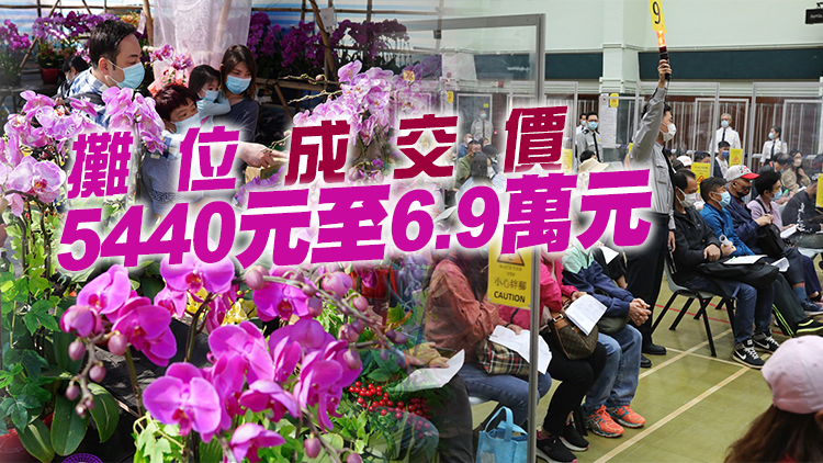 維園年宵市場175個濕貨攤位全部租出 總收入超過482萬元