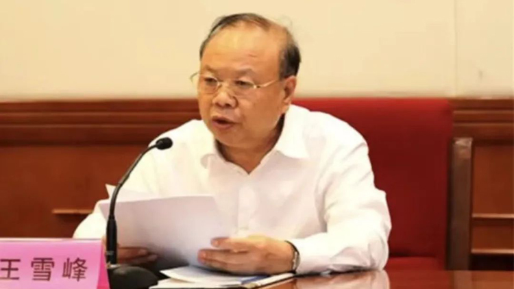 河北省人大常委會原副主任王雪峰接受審查調查