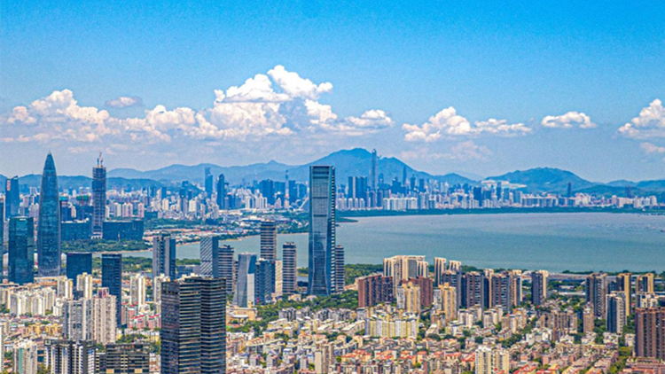 深圳高標準建設國際貿易單一窗口 提供服務項目超1500項