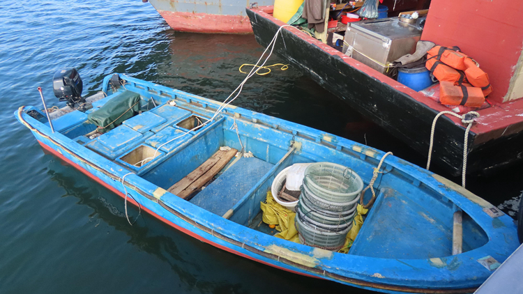 疑於南大嶼海岸公園非法捕撈 漁護署起訴3名內地漁民