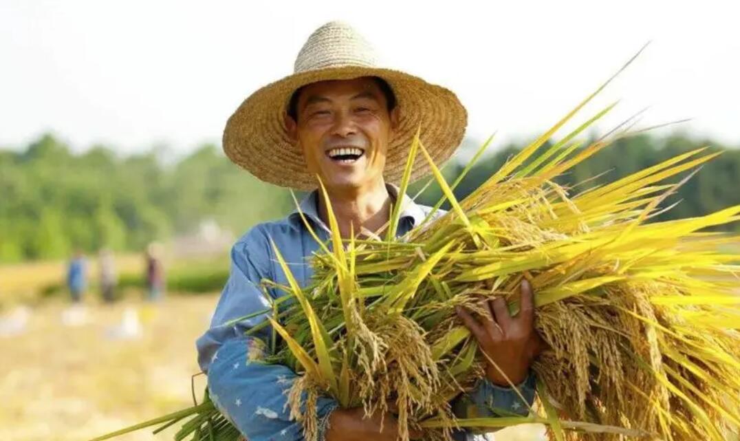中國農民人均可支配收入首次突破2萬元