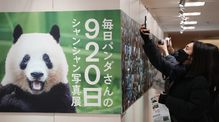 外交部回應「香香」回國：中日將續開展大熊貓保護研究合作
