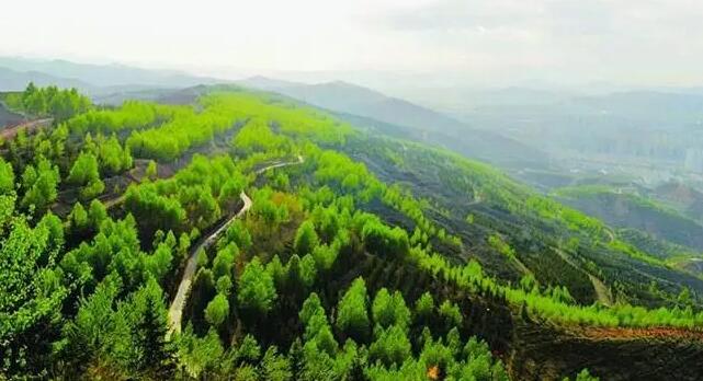 2022年中國完成造林383萬公頃 森林覆蓋率達24.02%