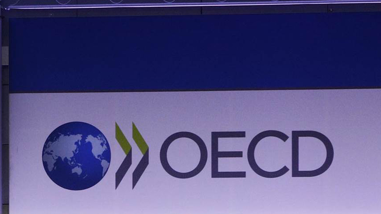 OECD調高今年全球經濟增長預測 唯警復蘇仍然脆弱