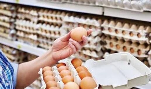 受禽流感影響 日本3月雞蛋批發價創30年來新高