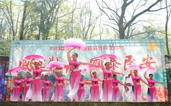 安徽巢湖：「千年牡丹」進入最佳觀賞期