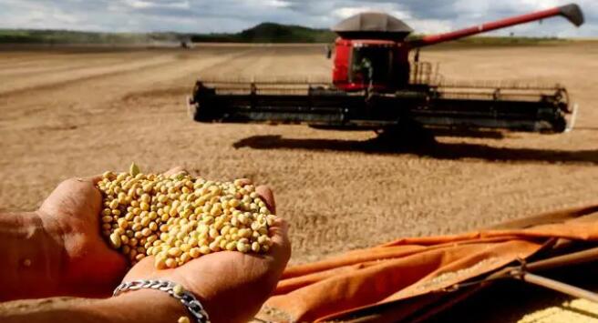 中國努力減少對進口大豆依賴
