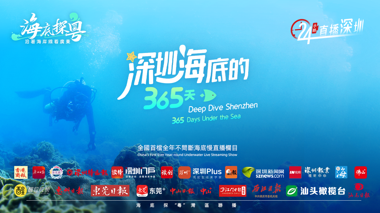 直播 | 全國首檔全年不間斷海底慢直播欄目《深圳海底的365天》