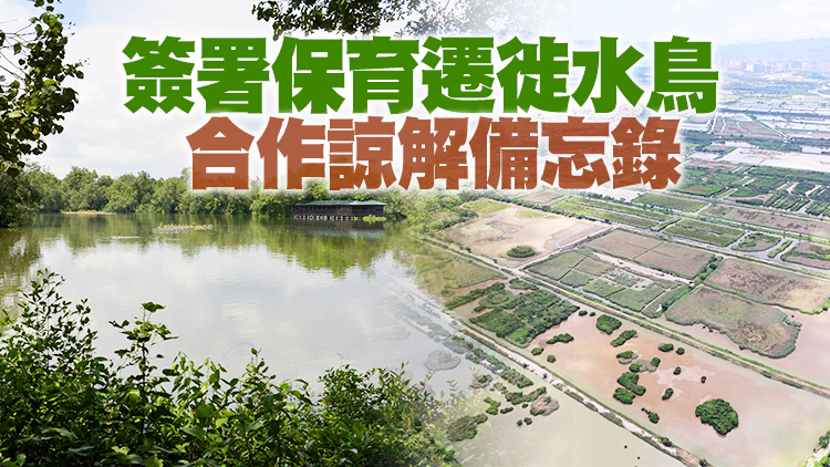 香港與新加坡合作建立姊妹濕地關係