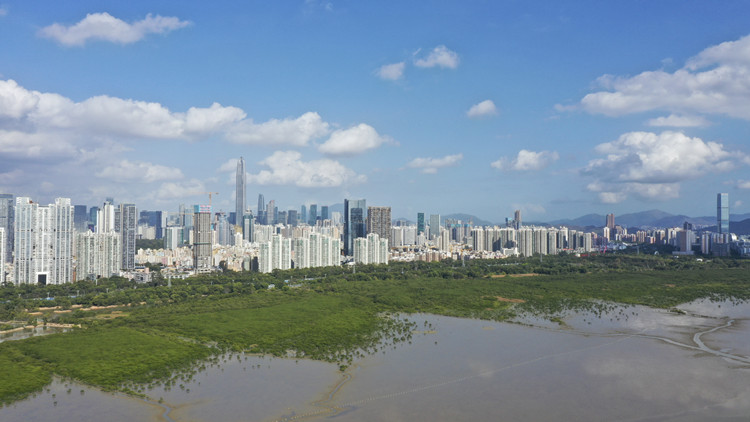 建設「全球海洋中心城市」，深圳怎麼做？一圖讀懂！
