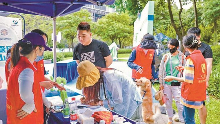 深圳登記犬隻達23.8萬隻 第五屆5·29深圳愛犬日活動舉辦