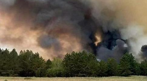 哈薩克斯坦森林火災致14人死亡 將舉行全國哀悼