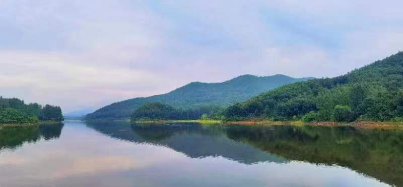 河南南召皇后鄉：綠滿青山「金」滿園