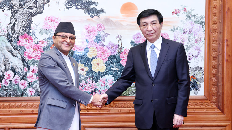 王滬寧會見尼泊爾聯邦院主席蒂米爾西納