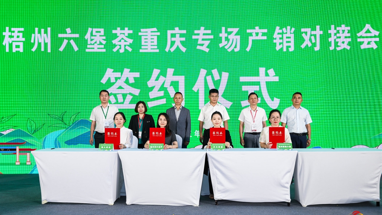 桂梧州六堡茶赴渝推介簽超億元項目訂單