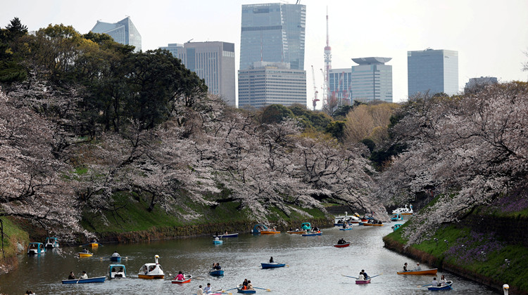 日本5月CPI升4.3% 高於預期