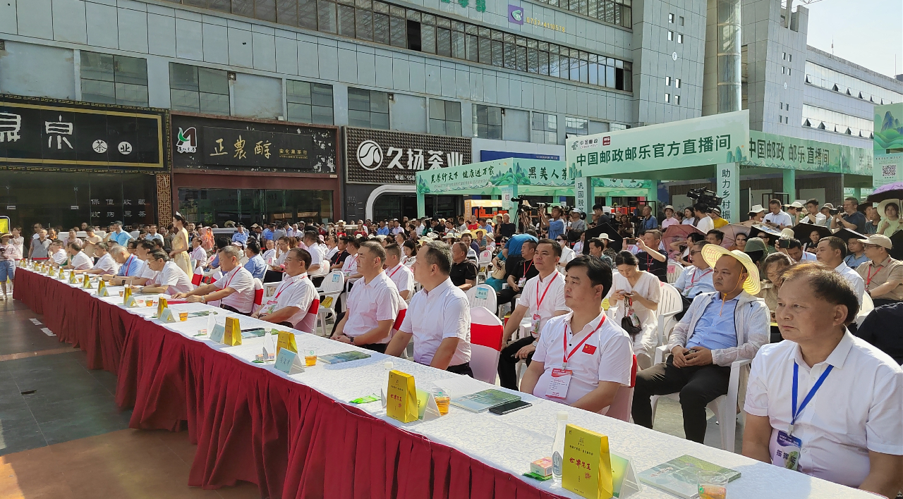 湖南：安化黑茶現代茶飲推介會舉行