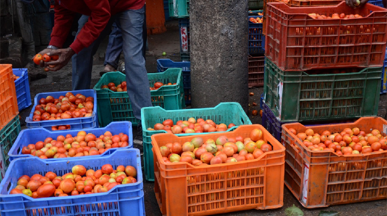 印度蕃茄價格今年累升逾3倍 因極端天氣影響收成