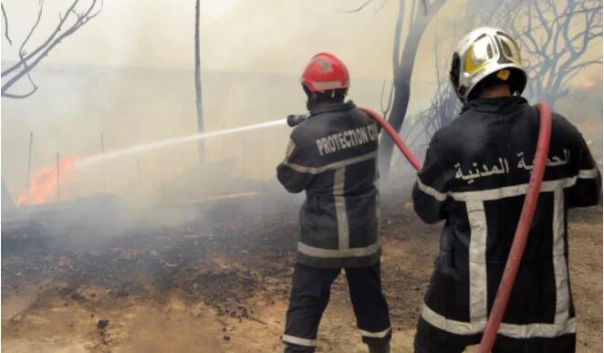 阿爾及利亞野火死亡人數升至34人 