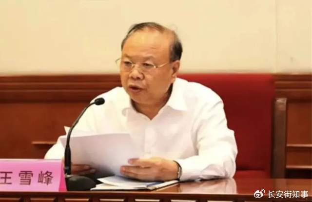 最高人民檢察院依法對王雪峰決定逮捕