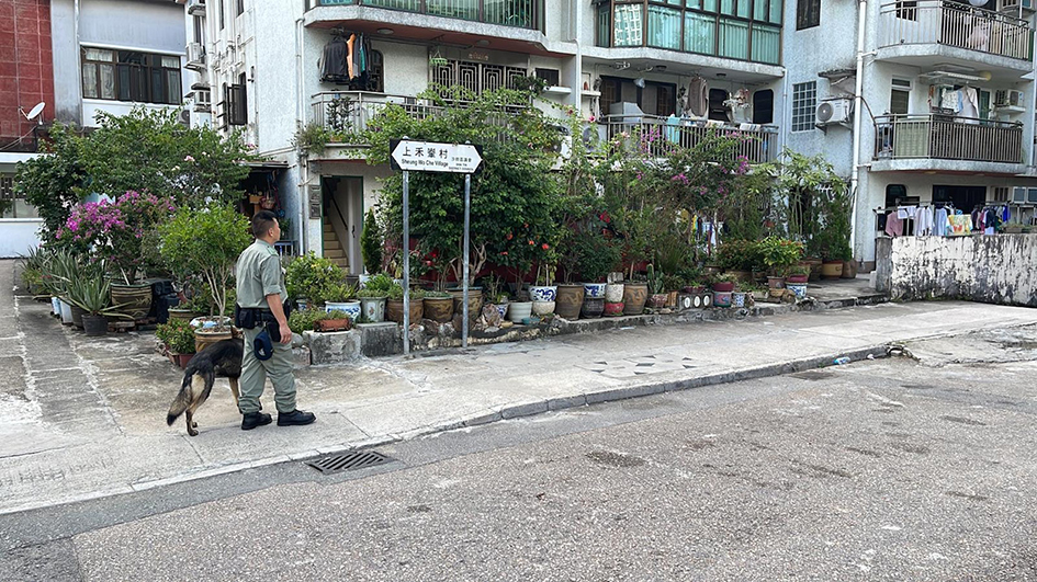 沙田警區一連三日反爆竊 跨部門陸空搜查