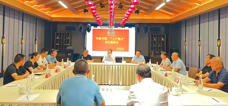 皖黟縣宏村鎮：「三美」添彩振興新圖景