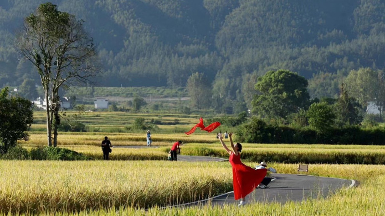 超300萬人「黟」見傾心  西遞宏村古村落迸新活力