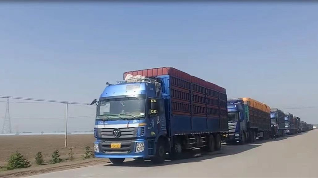 北大荒物流集團全力推進物流資源整合 取得顯著成果