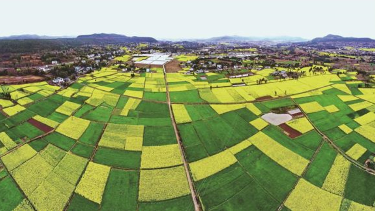 四川綿陽遊仙：不斷探索創新 打造更高水平的中國糧倉