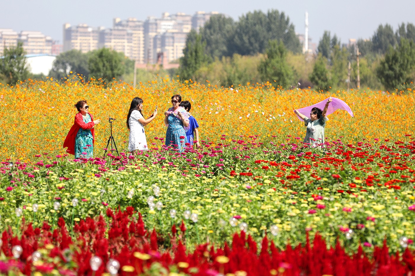 以善治求常治 變成效為長效 瀋撫示範區着力打造城市品位
