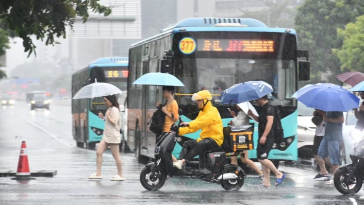 暴雨來襲，聚力守家園——深圳防汛救災一線全景掃描
