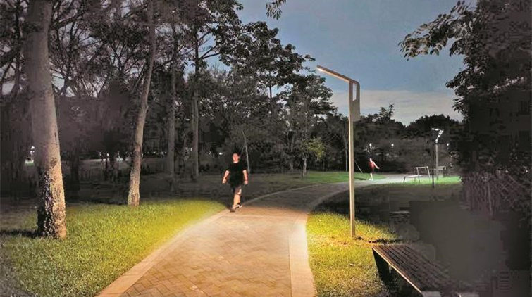 能築巢的路燈來了！國內首批生物多樣性友好路燈在深圳落地