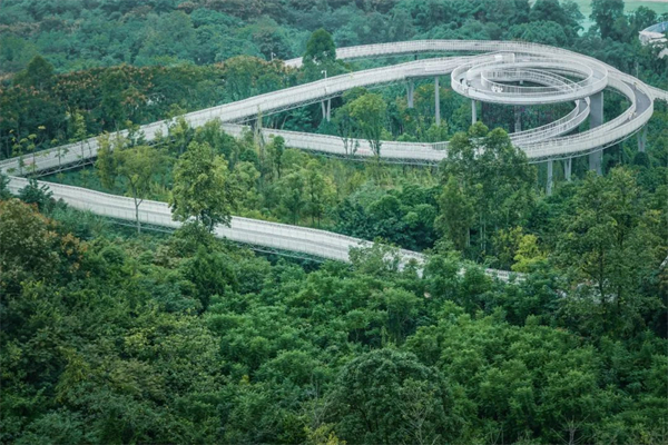 成都再添綠道新地標  龍泉山森林綠道高空棧道月底正式運營