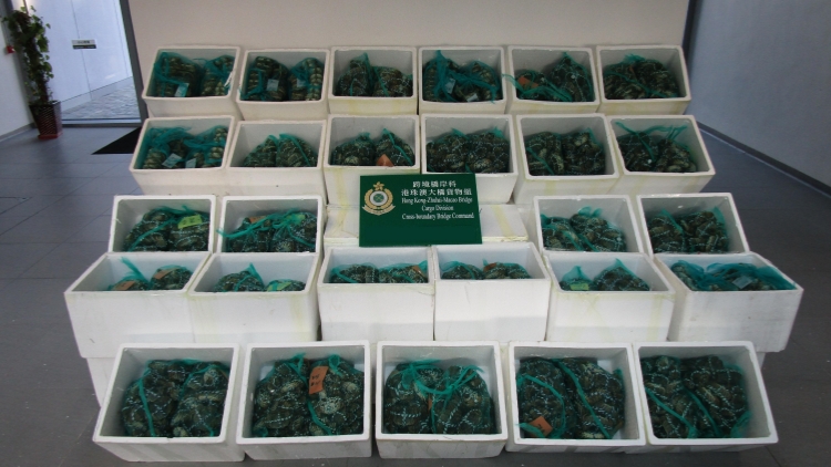 海關檢獲6400隻走私大閘蟹市值約39萬元