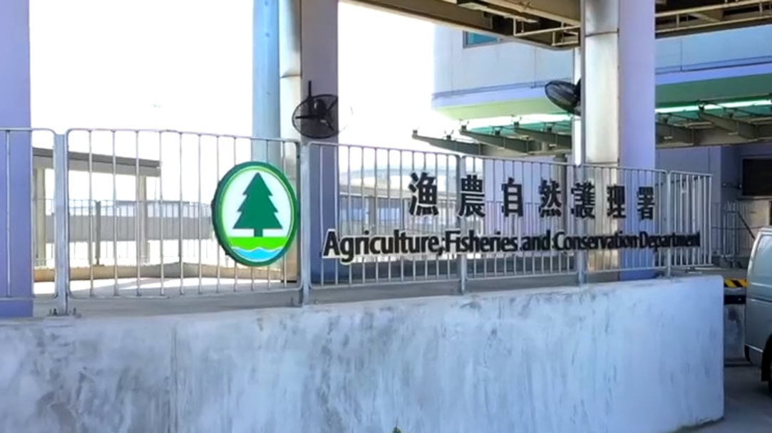 漁護署：天水圍香港濕地公園赤頸鴨屍體對H5病毒測試呈陽性反應