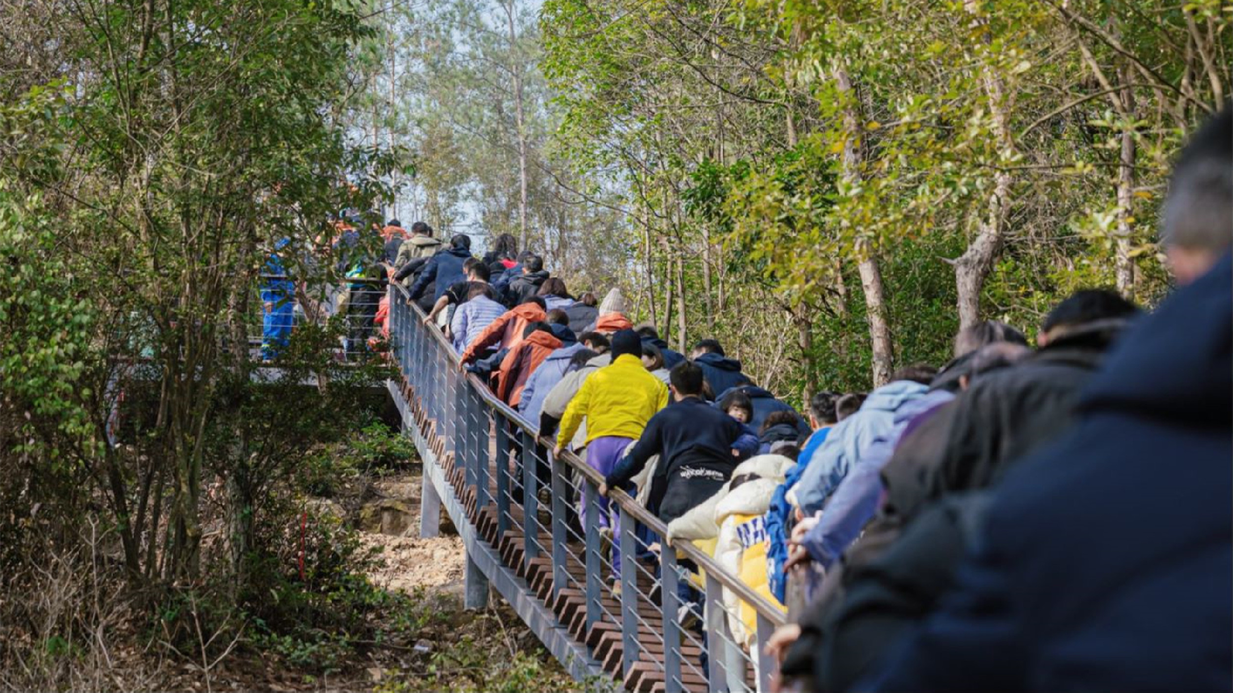 「快樂健身運動黃山」  皖黃山市新年登高活動熱力足