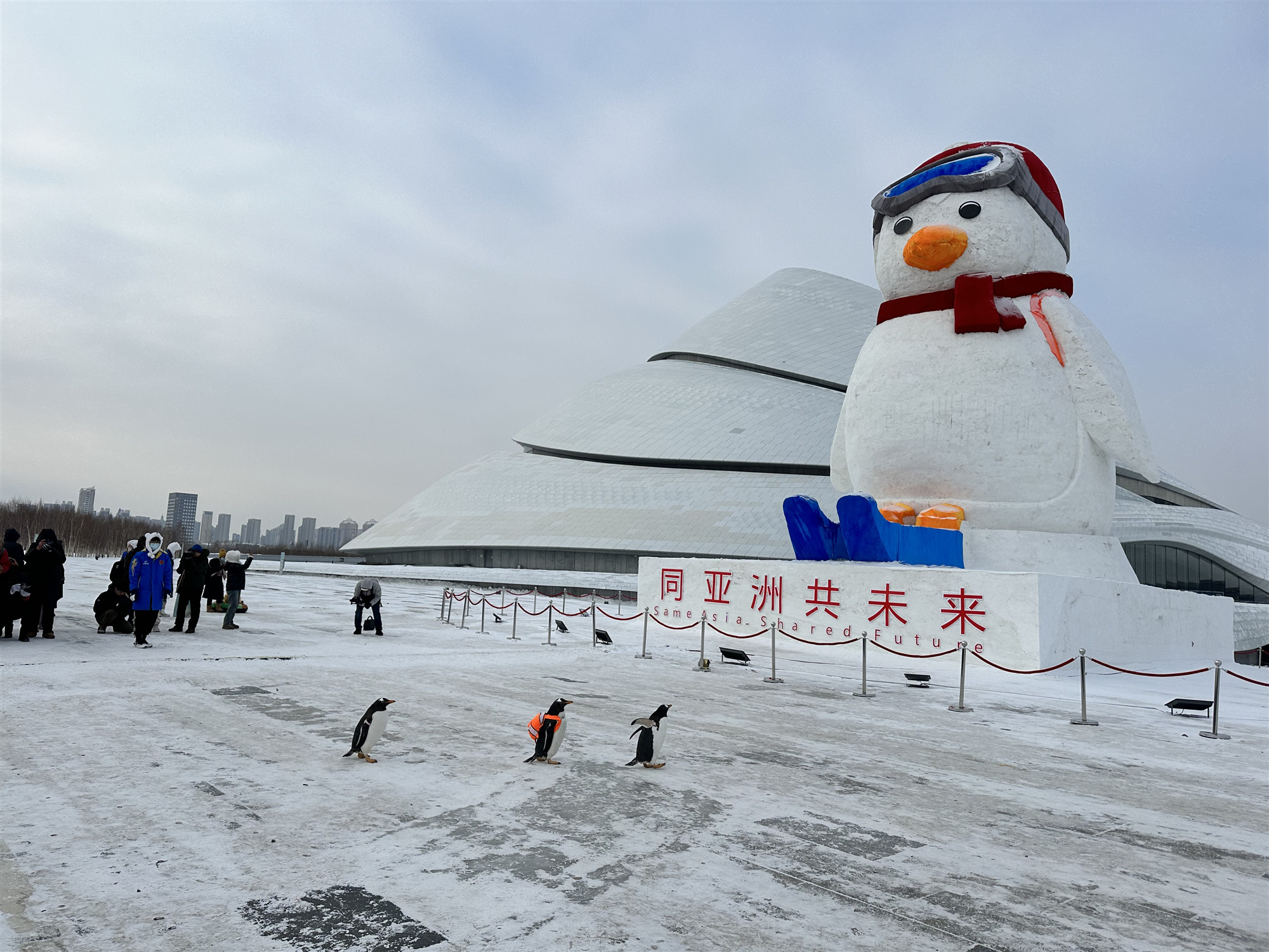 「巨鵝」驚喜！「淘學企鵝」打卡本鵝新晉雪雕