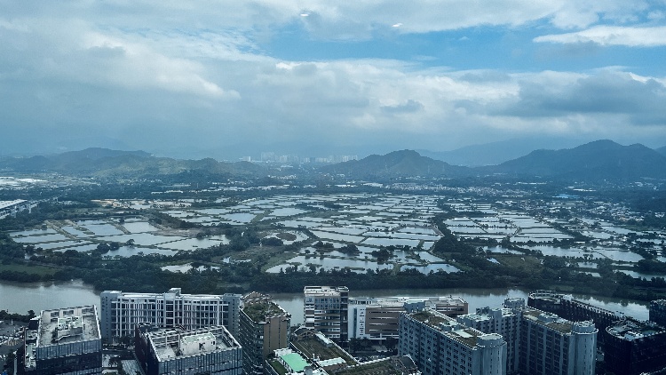 深圳空氣質量穩居全國超大城市第一