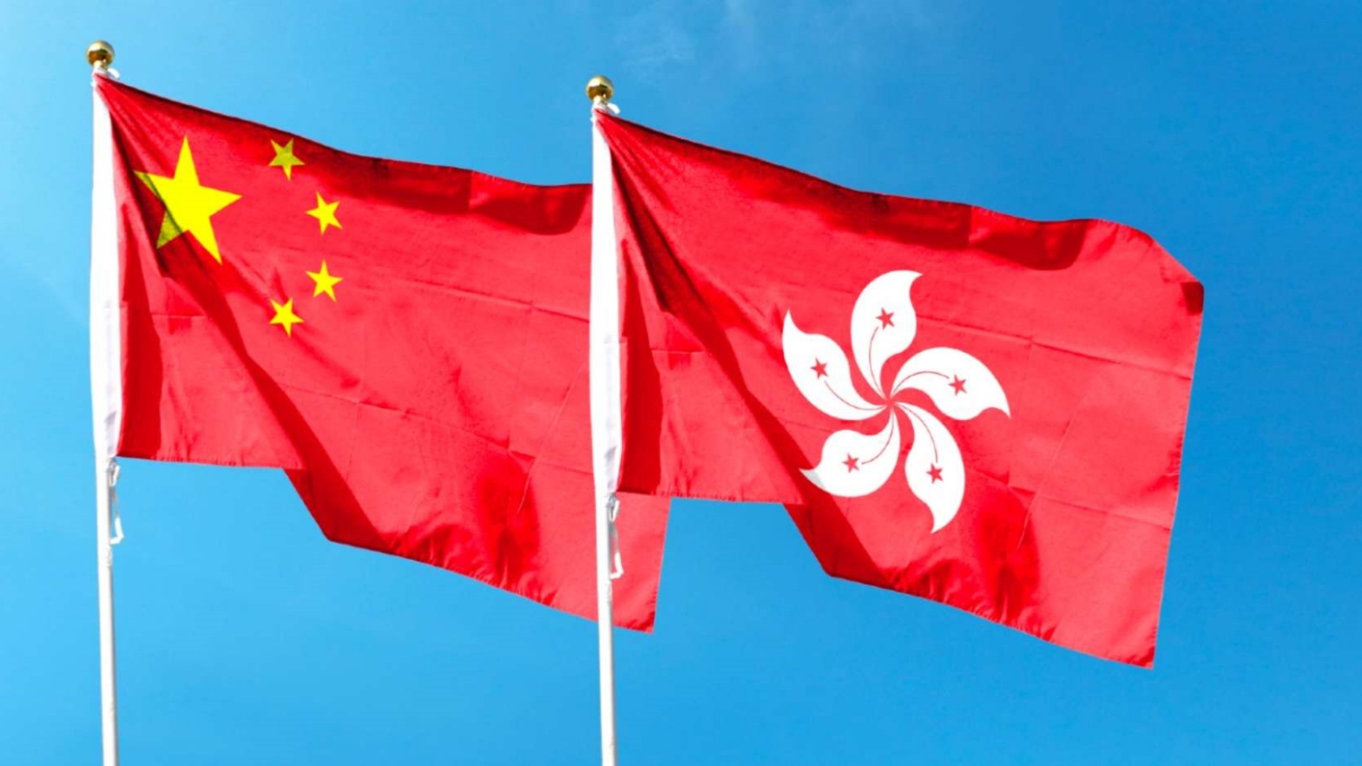 新民黨全力支持陳國基親赴日內瓦捍衛香港的人權表現