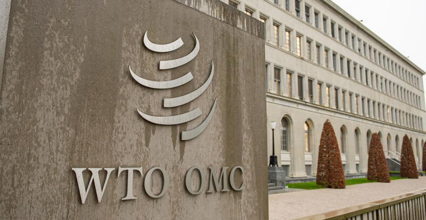 WTO服務貿易國內規制生效意義幾何